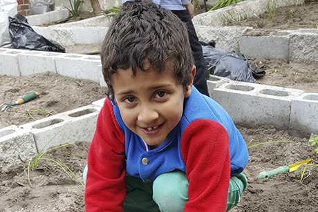 Green Anglicans _SA_2